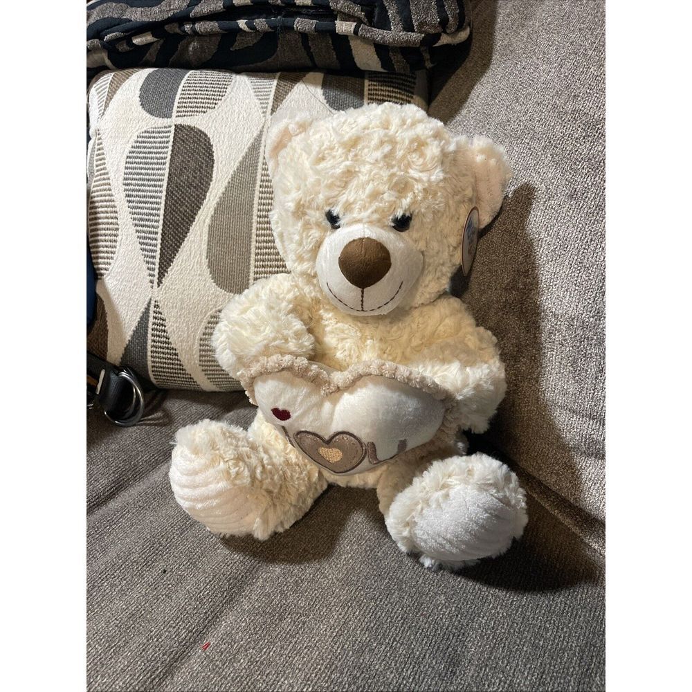I Love‎ You Teddy Bear 10" Stuffed Animal Plush  With Plush Heart Pillow